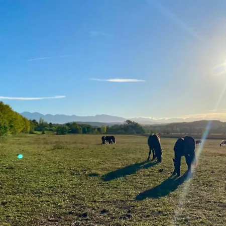 Charmant, Animaux Bienvenus - 4 Pers. - Api-1-52-2279 Camping