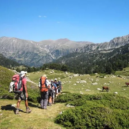 Camping Charmant, Animaux Bienvenus - 4 Pers. - Api-1-52-2279 *